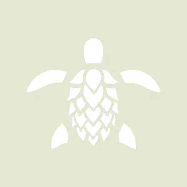 Salty Turtle Beer